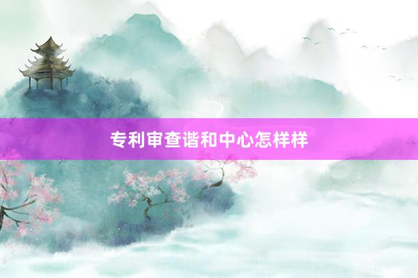 专利审查谐和中心怎样样