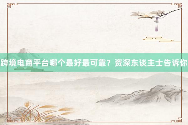 跨境电商平台哪个最好最可靠？资深东谈主士告诉你